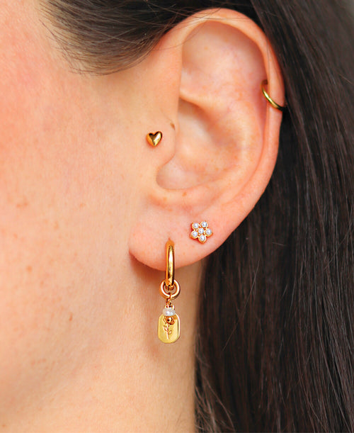 Hopei Piercing Gold - Tragefoto