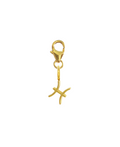 ZODIAC CHARM - PISCES 