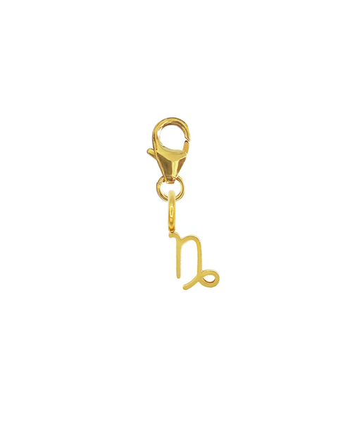 ZODIAC CHARM - CAPRICORN 