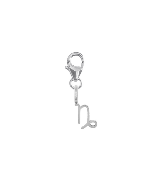 ZODIAC CHARM - CAPRICORN 