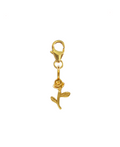 SURI CHARM 