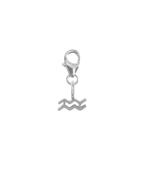 ZODIAC CHARM - AQUARIUS 